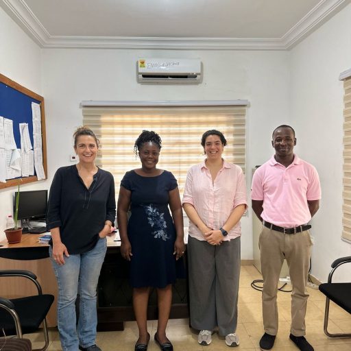 Ghana Connect: Connect with the Right People in Ghana for Business Success